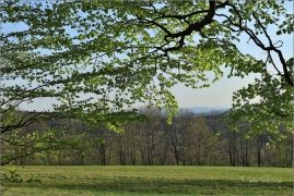 <p>Šluknovsko - Knížecí, pod Hrazených</p>